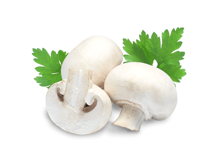 Champignons