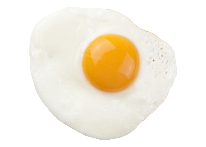 Oeuf